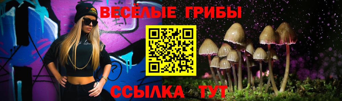 Псилоцибиновые грибы мухоморы  как найти   Вход с VPN  Североморск  Псилоцибиновые грибы GOLDEN TEACHER 